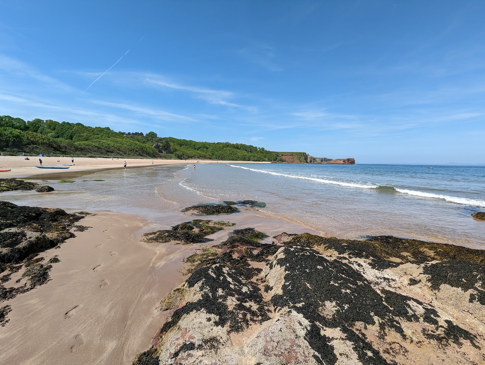 Photo of Seacliff Beach and the settlement