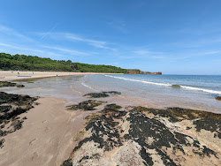 Foto von Seacliff Beach umgeben von Bergen