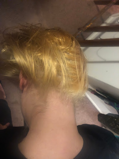 Hair Salon «Fantastic Sams Cut & Color», reviews and photos, 54 Haven Hill Rd, Shelbyville, KY 40065, USA
