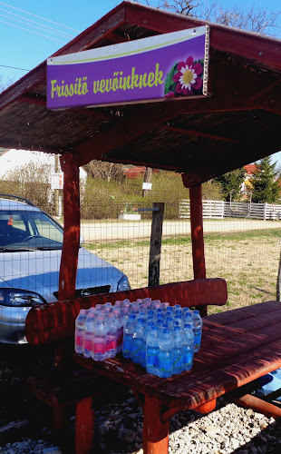 Értékelések erről a helyről: Pille Kertészet Békéscsaba, Békéscsaba - Kertészkedő