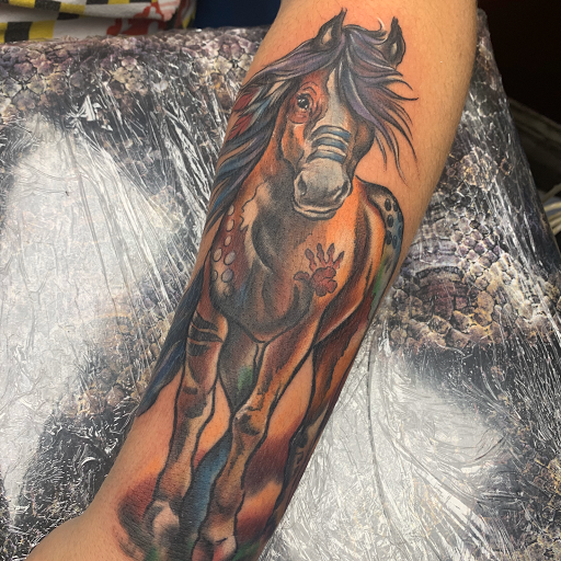 Explore tortoise tattoo ideas, creative tattoo ideas in Hanover, available at Gypsy Skull Tattoo