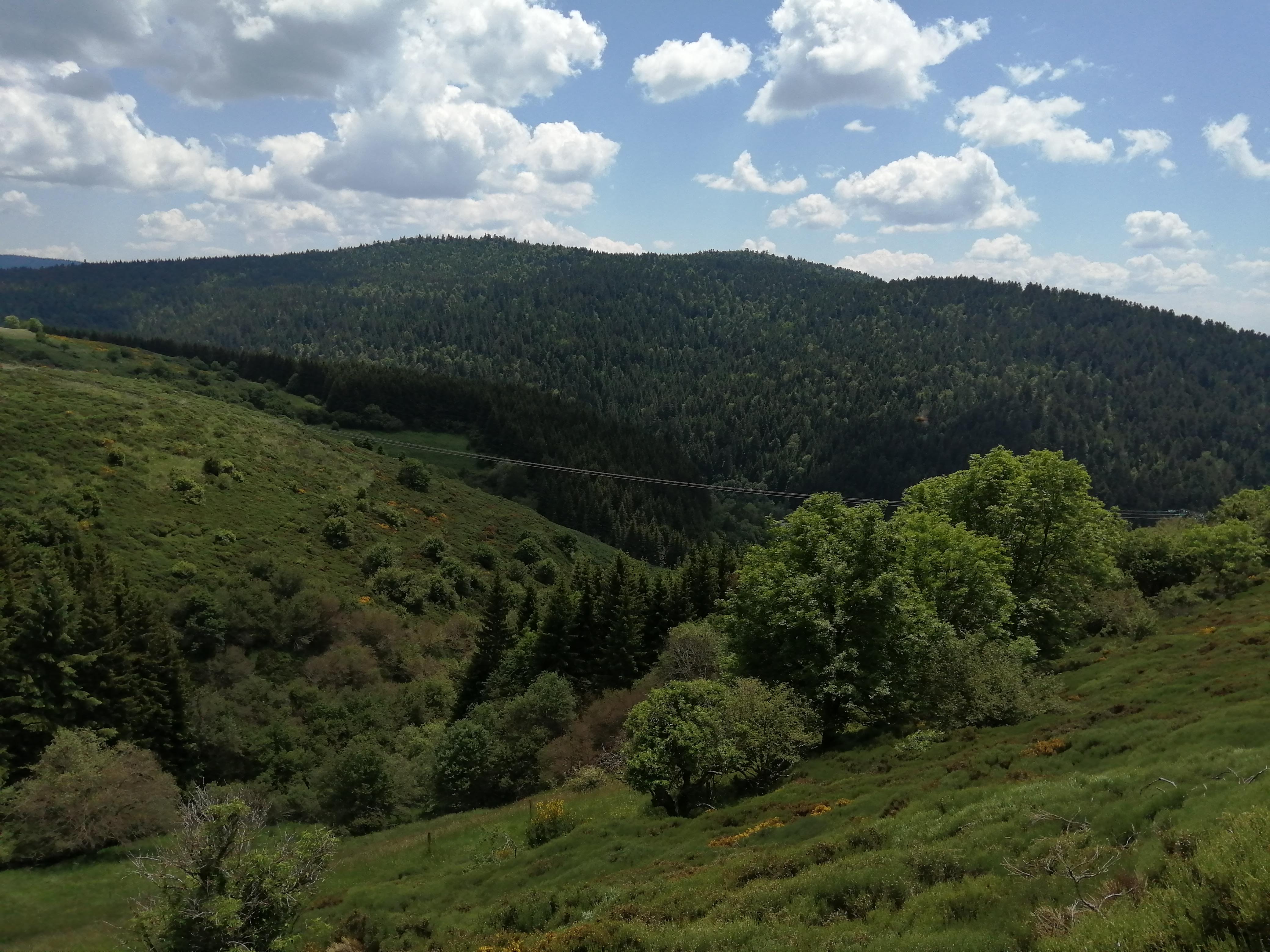 Photo n° 3 de l'avis de Fredomi. fait le 15/06/2023 à 14:58