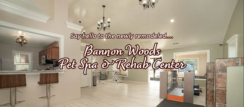 Bannon Woods Grooming & Boarding