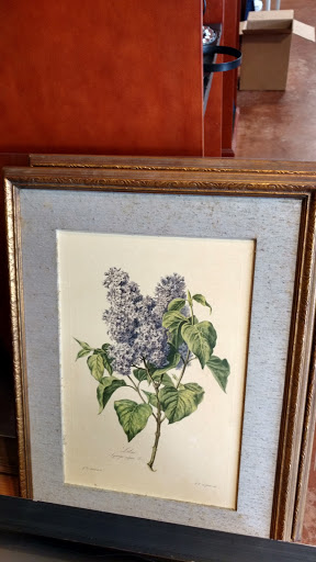 Thrift Store «Rescue Mission Thrift Store», reviews and photos, 25 Long Shoals Rd, Arden, NC 28704, USA