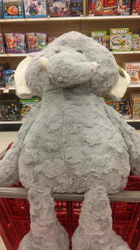 Department Store «Target», reviews and photos, 4300 Veterans Memorial Dr, Batavia, NY 14020, USA