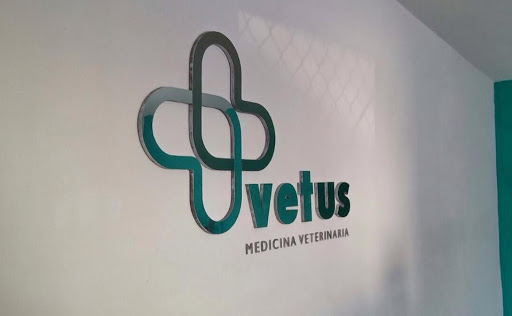 Vetus Medicina Veterinaria