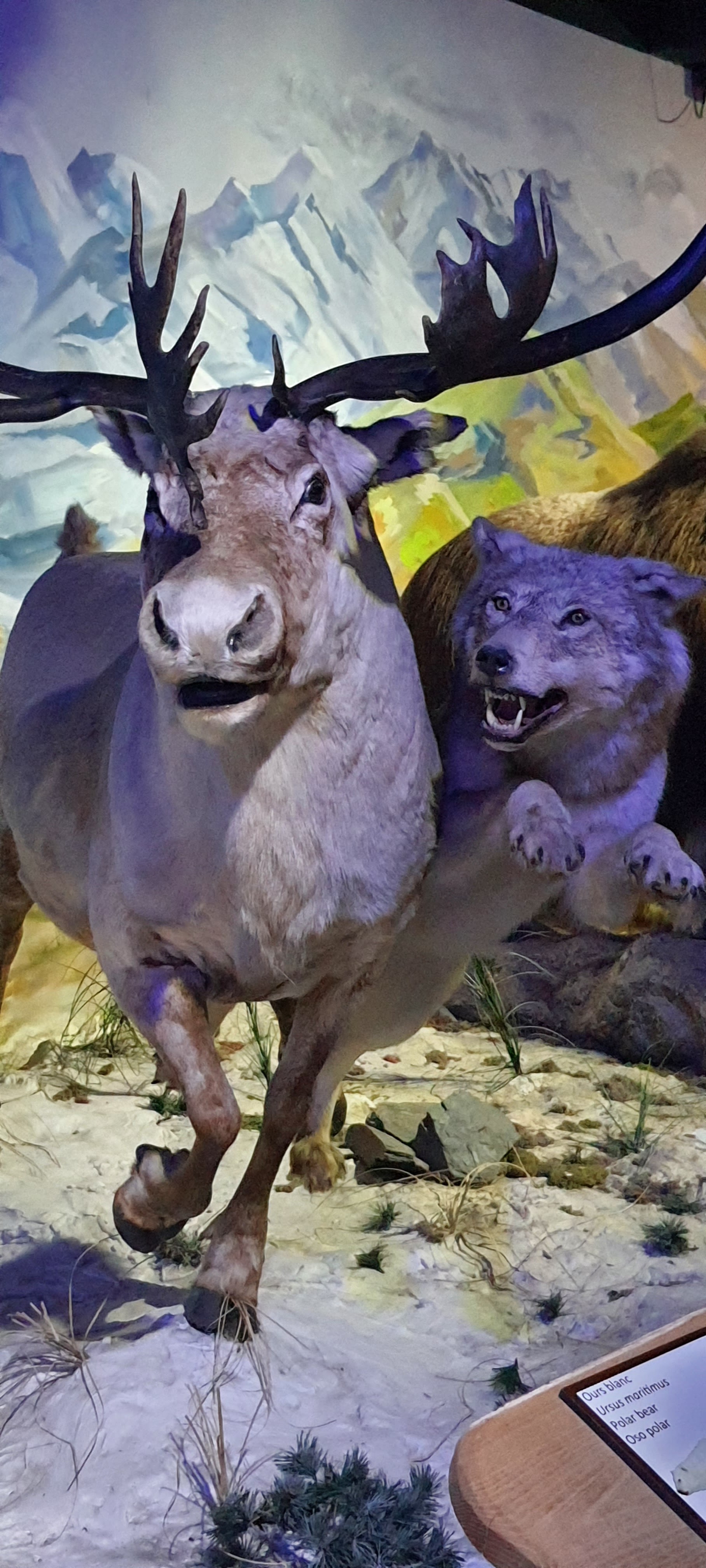 Photo n° 4 de l'avis de Laetitia. fait le 06/05/2023 à 18:10