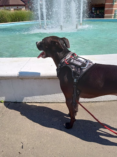 Resort «Rising Star Casino Resort - Rising Sun», reviews and photos, 777 Rising Star Dr, Rising Sun, IN 47040, USA