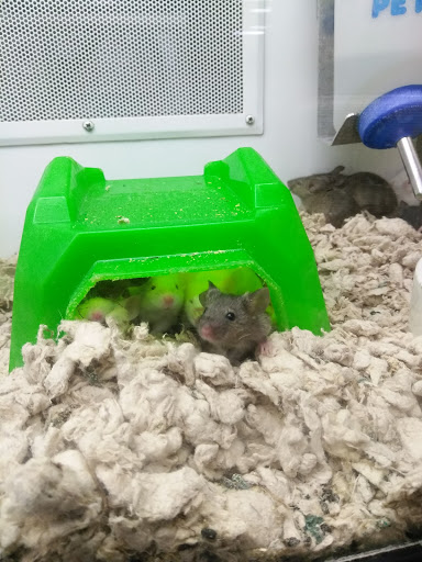 Pet Supply Store «Petco Animal Supplies», reviews and photos, 3591 Washington Blvd, Halethorpe, MD 21227, USA