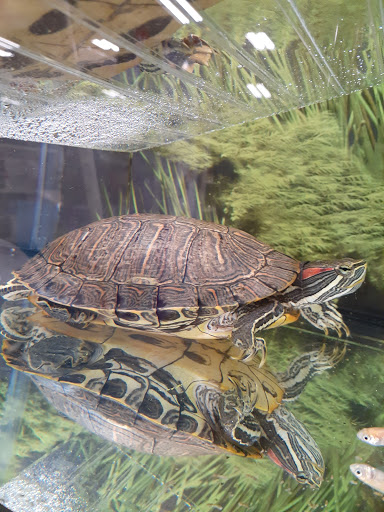 Pet Supply Store «PetSmart», reviews and photos, 1183 Berkshire Blvd, Wyomissing, PA 19610, USA