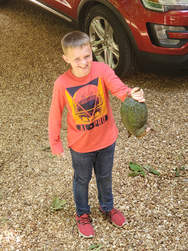 Cabin Rental Agency «Dixieland Cabins», reviews and photos, 1613 Donelson Pkwy, Dover, TN 37058, USA