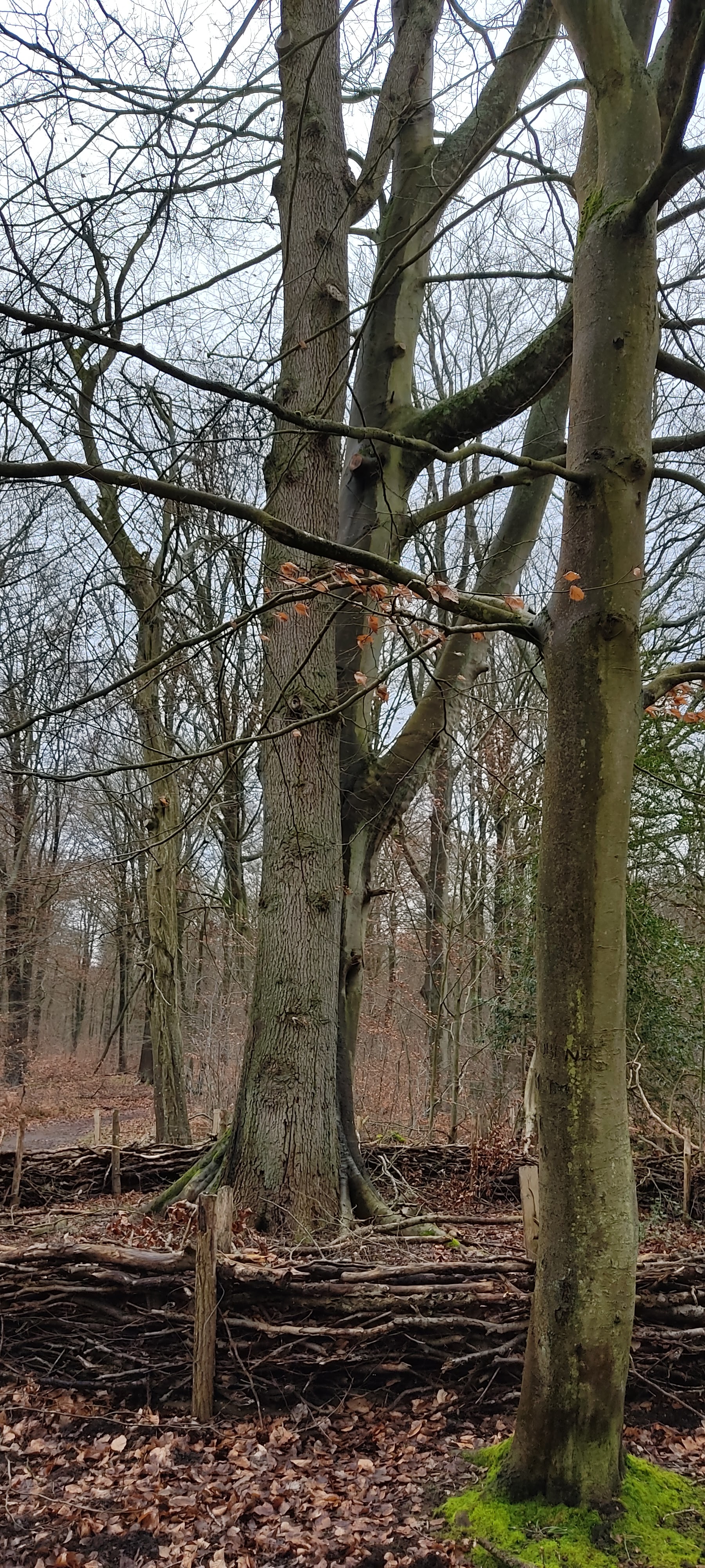 Photo n° 6 de l'avis de Marie.r fait le 02/02/2022 à 15:06