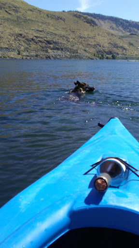 Florist «Chelan Fruit Plant 3», reviews and photos, 80 McNeil Canyon Rd, Orondo, WA 98843, USA