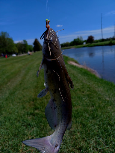 Park «Luverne City Park», reviews and photos