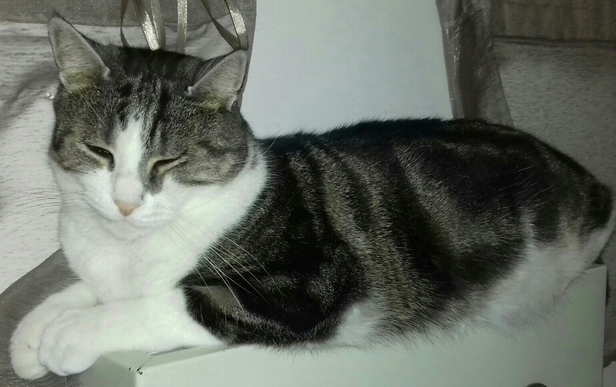 Photo n° 1 de l'avis de Bruno.a fait le 20/10/2019 à 10:18