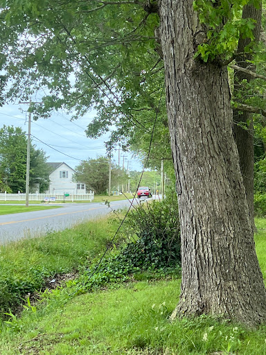 Cable Company «Mediacom Communications Corporation», reviews and photos, 32441 Royal Blvd, Dagsboro, DE 19939, USA