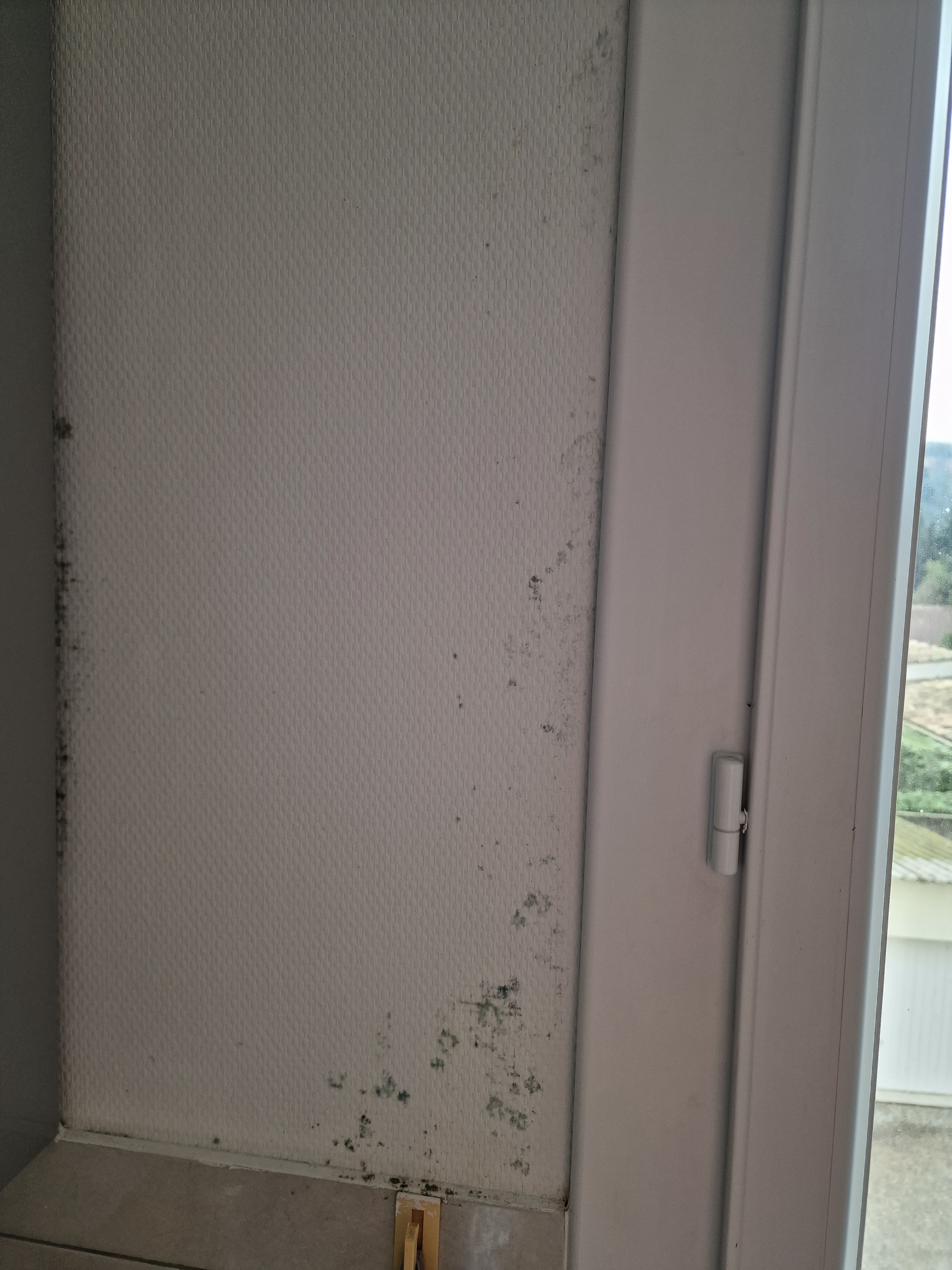 Photo n° 2 de l'avis de dylan.o fait le 28/08/2023 à 18:55