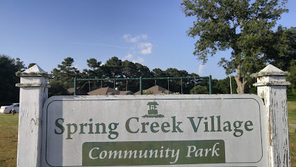 Spring Creek Village Community Park