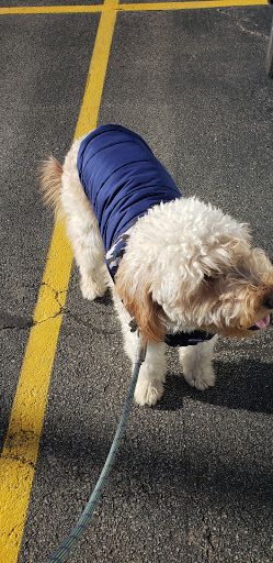 Pet Supply Store «Pet Supplies Plus», reviews and photos, 9 Waukegan Rd, Deerfield, IL 60015, USA