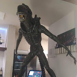 Photo n°3 de l'avis de Andrea.a fait le 25/11/2021 à 08:00 sur le  Movie Restaurant à Rome