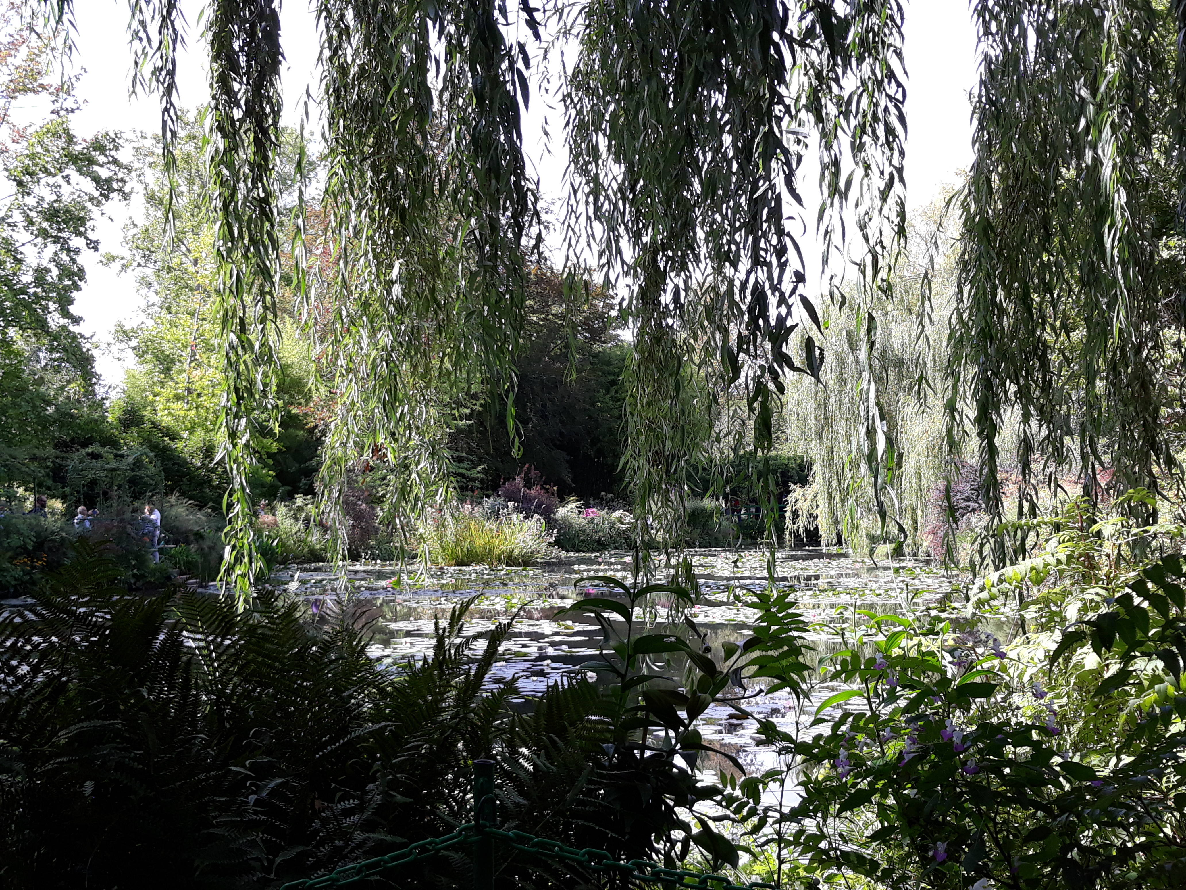 Photo n° 4 de l'avis de Zaj.h fait le 17/09/2018 à 16:50