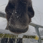 Photo n°2 de l'avis de Kerstin.� fait le 29/12/2021 à 20:06 sur le  Hotel Hohe Reuth à Bocka