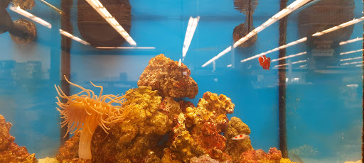 Pet Supply Store «Petco Animal Supplies», reviews and photos, 6181 Old Dobbin Ln #800, Columbia, MD 21045, USA