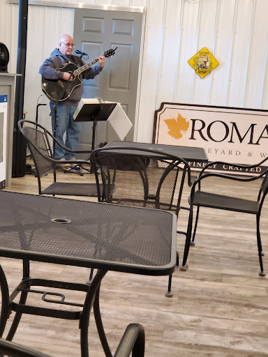 Vineyard «Romano Vineyard & Winery», reviews and photos, 15715 Bald Eagle School Rd, Brandywine, MD 20613, USA