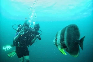 Samudra Adventures Scuba Diving Centre image