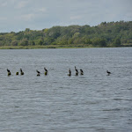 Photo n°4 de l'avis de Reiner.e fait le 09/06/2021 à 13:02 sur le  Gut Schloß Golm à Potsdam
