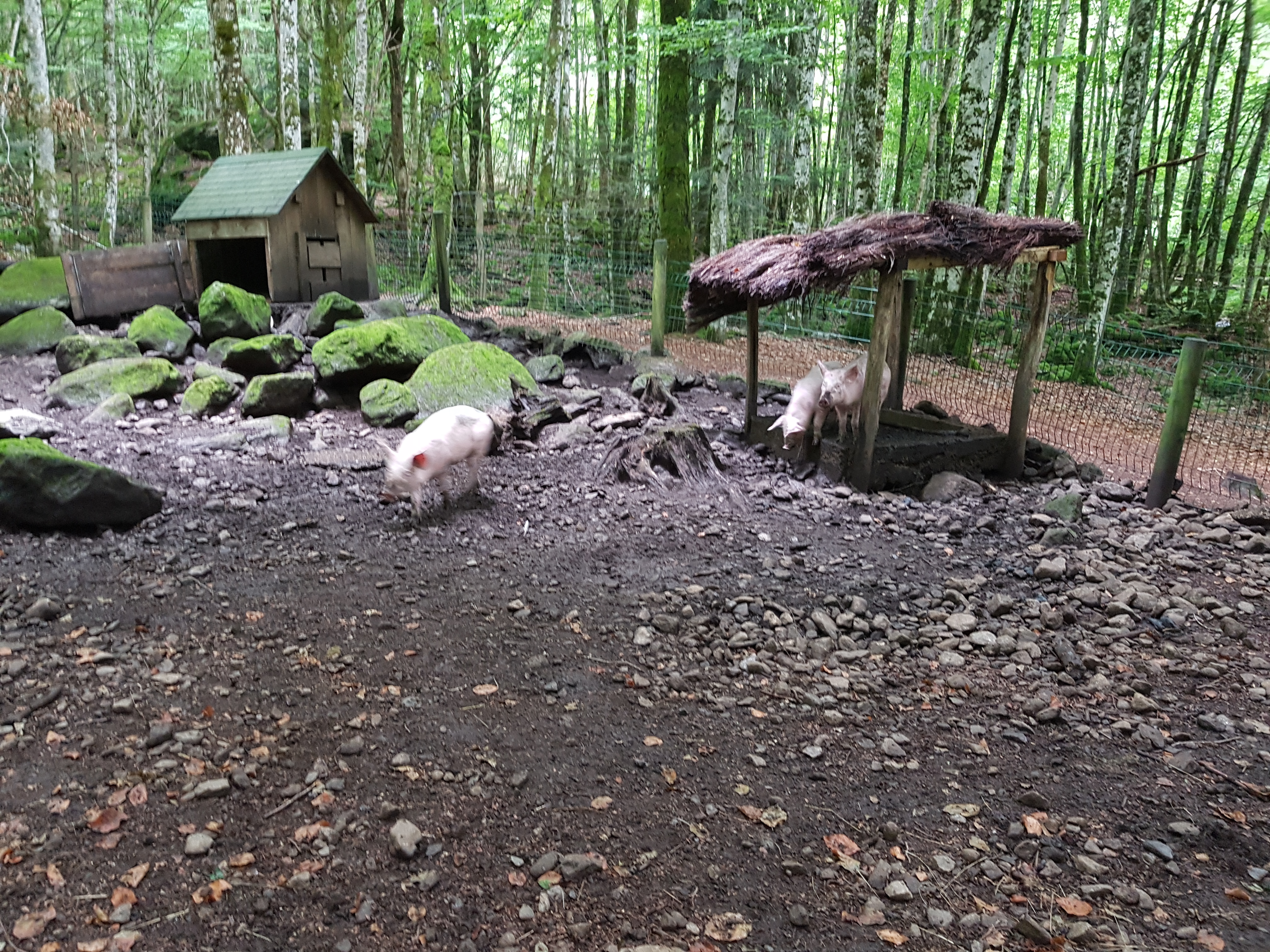 Photo n° 7 de l'avis de Eric.e fait le 12/08/2018 à 14:15