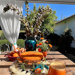 Photo n°11 de l'avis de Siobhan.o fait le 03/05/2024 à 20:23 sur le  Seeds of Silence à Quelfes