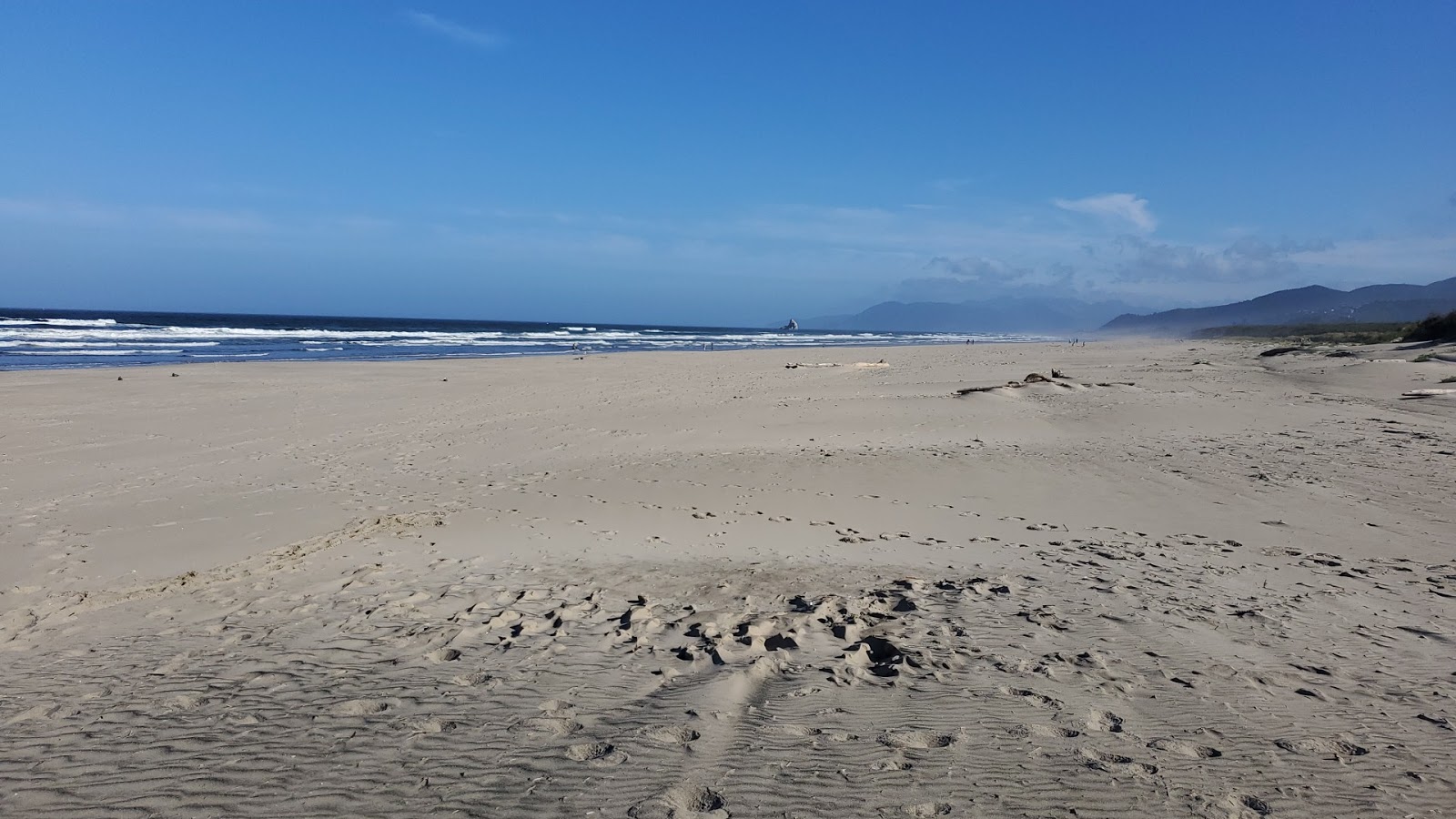 Φωτογραφία του Tillamook County Beach με επίπεδο καθαριότητας πολύ καθαρό