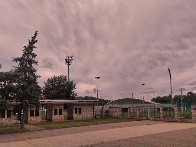 Értékelések erről a helyről: Szolnoki MÁV FC Kft., Szolnok - Szórakozóhely