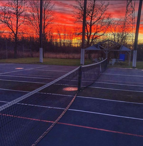 A Love of Tennis