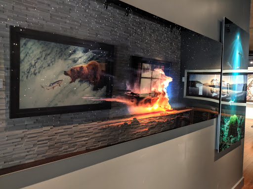 Art Gallery «National Geographic | Fine Art Galleries», reviews and photos, 607 E Las Olas Blvd, Fort Lauderdale, FL 33301, USA