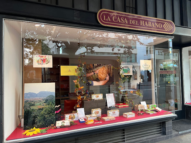 Rezensionen über LA CASA DEL HABANO in Zürich - Geschäft