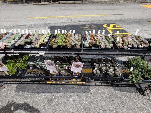 Shopping Mall «Carlmont Village Shopping Center», reviews and photos, 1049 Alameda de las Pulgas, Belmont, CA 94002, USA