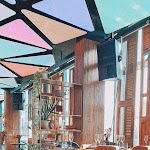 Photo n°1 de l'avis de Romy.c fait le 21/09/2020 à 20:19 sur le  THE REED à Berlin