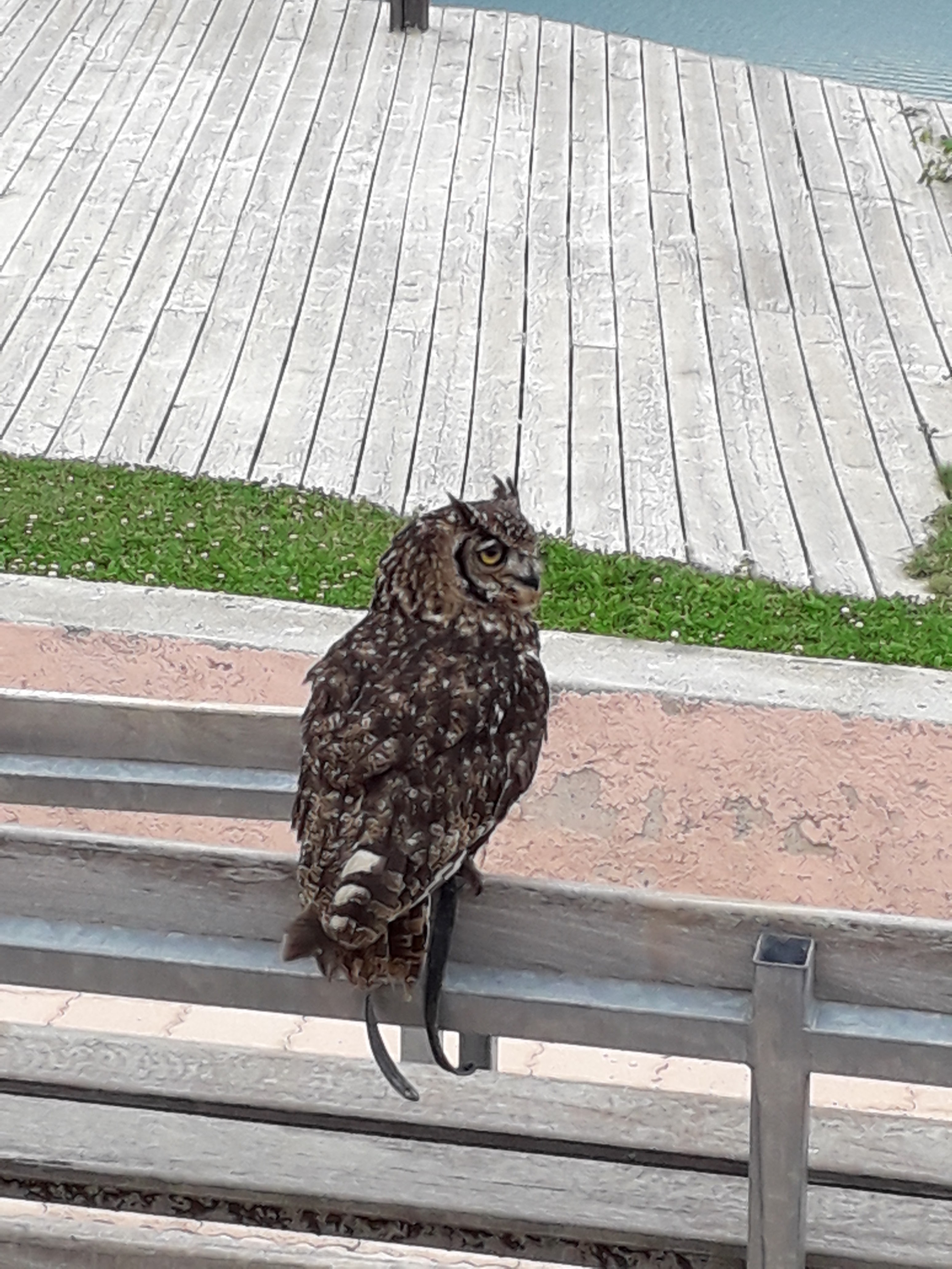 Photo n° 4 de l'avis de Freddy.E fait le 13/07/2021 à 19:58