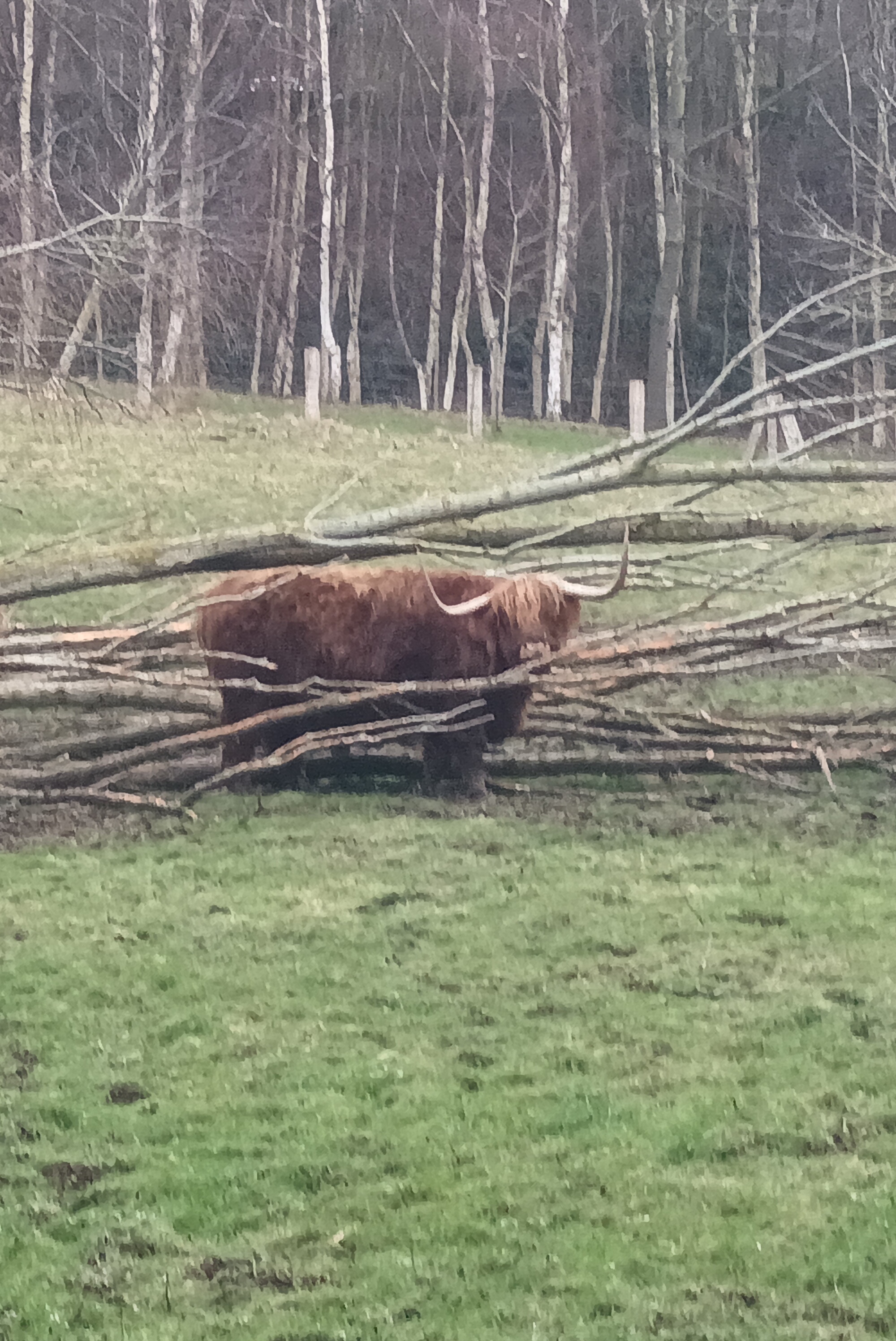Photo n° 18 de l'avis de Bruno.u fait le 04/02/2024 à 16:13