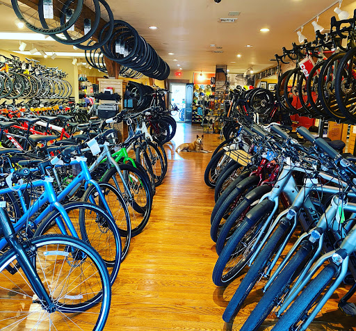 Brielle Cyclery shop front