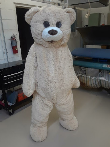 Dry Cleaner «Capri Cleaners», reviews and photos, 8710 Bryan Dairy Rd, Largo, FL 33777, USA