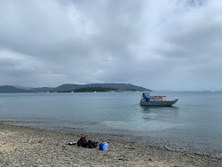 Photo de Paddle Bay Beach situé dans une zone naturelle