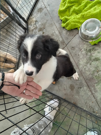 Pet Store «Animart», reviews and photos, 4303 E Towne Way, Madison, WI 53704, USA