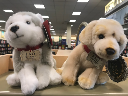 Book Store «Barnes & Noble», reviews and photos, 3120 Fairlane Dr, Allen Park, MI 48101, USA