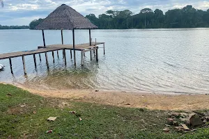 Laguna Tumichucua image