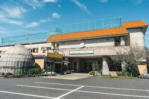 Hotel Swan Lake Nagara image