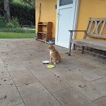 Photo n°14 de l'avis de S. fait le 12/09/2020 à 17:37 sur le  Bleichehof, Burg Spreewald, Deutschland à Burg