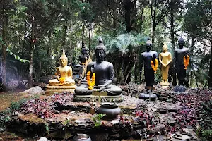 Doi Chang Buddhist Park image